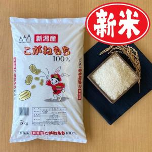 新米 もち米 餅 米 お米 5kg 新潟県産 こがねもち 本州送料無料 令和6年産