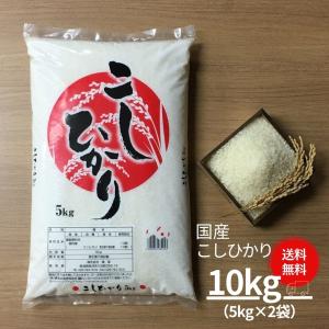 米 お米 10kg コシヒカリ こしひかり 国産 5kg×2袋 送料無料 令和5年産