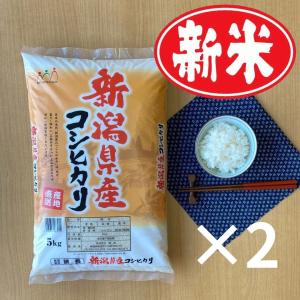 米 お米 10kg コシヒカリ こしひかり 新潟産 5kg×2袋 本州送料無料 令和5年産