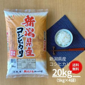 米 お米 20kg コシヒカリ こしひかり 新潟産 5kg×4袋 本州送料無料 令和5年産