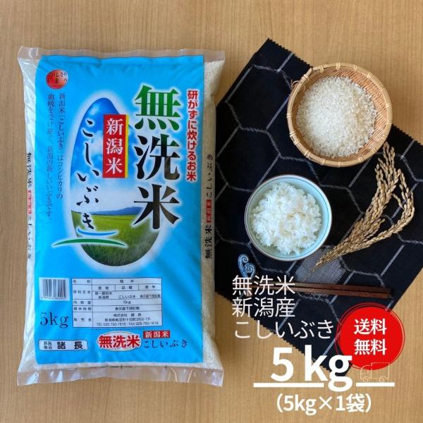 米 お米 無洗米 5kg セール こしいぶき 新潟産 本州送料無料 令和5年産