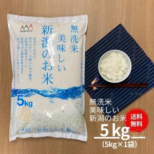 米 お米 無洗米 5kg 美味しい新潟のお米 本州送料無料