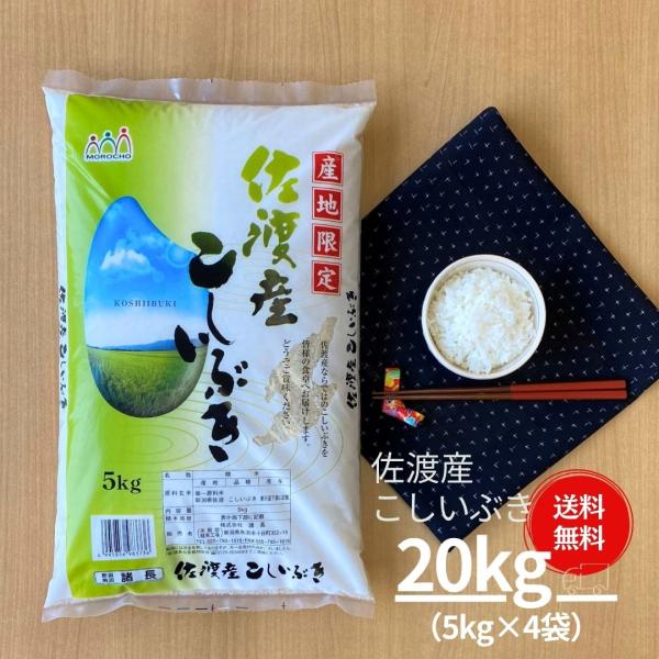 米 20kg こしいぶき 佐渡産 5kg×4袋 本州送料無料 令和5年産 お米