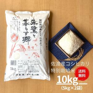 米 お米 10kg コシヒカリ こしひかり 佐渡産 特別栽培米  5kg×2袋 本州送料無料 令和5年産