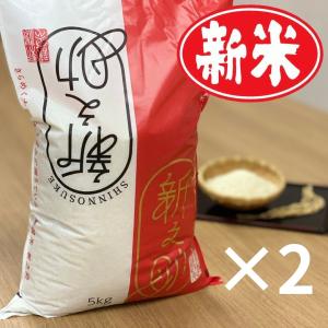 米 お米 10kg 新之助 新潟米 5kg×2袋 本州送料無料 令和5年産｜新潟魚沼 お米の諸長