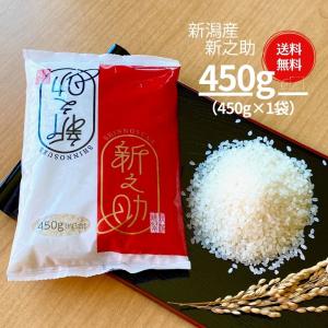 米 お米 450g 新之助 新潟米 送料無料 ポイント消化 ワンコイン 令和4年産
