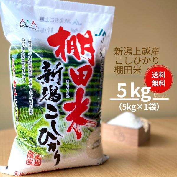 米 お米 5kg 新潟 上越産 こしひかり コシヒカリ 棚田米 本州送料無料 令和5年産