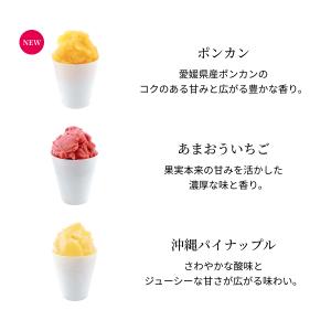 モロゾフ 凍らせてシャーベット 6個入の詳細画像3