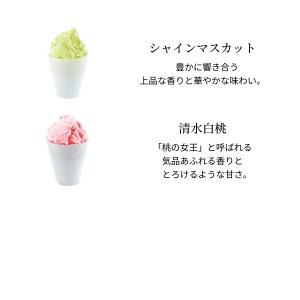 モロゾフ 凍らせてシャーベット 6個入の詳細画像4