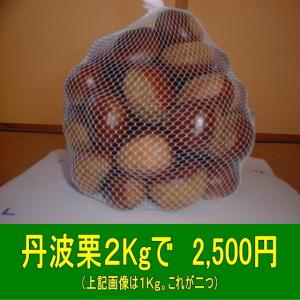 丹波栗 生栗 中粒に大粒が混合２Kg