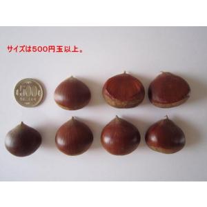 丹波栗 生栗 小粒 2Kg