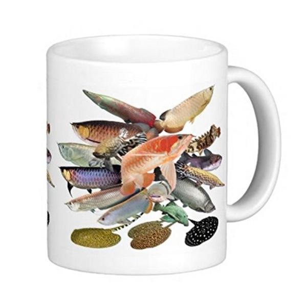 アロワナと各種の大型熱帯魚のマグカップ：フォトマグ（世界の熱帯魚シリーズ）