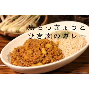 宮古島カレー 〜島らっきょうとひき肉のカレー　〜　250g（3食入り）