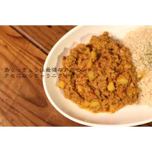 宮古島カレー 〜島らっきょうとひき肉のカレー ...の詳細画像1