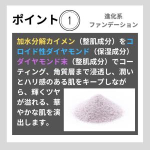 V3ファンデーション ブリリアント 正規品 本...の詳細画像1