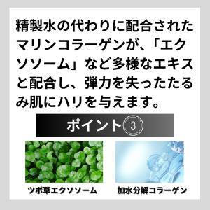 V3ファンデーション ブリリアント 正規品 本...の詳細画像3