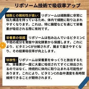 Lypo-C Lypoc リポ・カプセルビタミ...の詳細画像2
