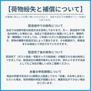 資生堂メーキャップ HANEN FUDE アイ...の詳細画像3