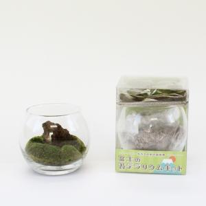 テラリウム 販売の商品一覧 通販 Yahoo ショッピング