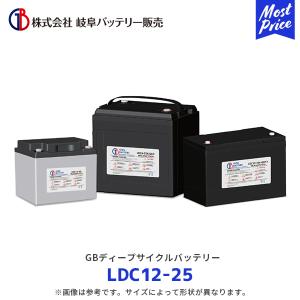 3Kバッテリー（スリーキングバッテリー） バッテリー EB35 LL端子 LR