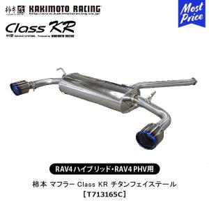 BLITZ ブリッツ マフラー ニュルスペック カスタムエディション