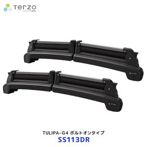 TERZO スキーキャリア ボルトオンタイプ
