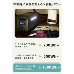 ポータブル電源 エレコム 2560Wh AC定...の詳細画像2