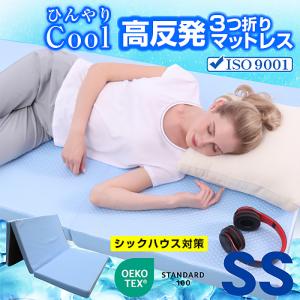 IKEA/イケア/通販】RAUDSAND ラウドサンド 折りたたみマットレス