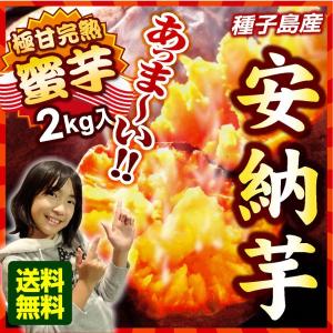 種子島 安納芋 蜜芋 (2kg) サツマイモ 産地直送 夢百...