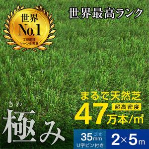 人工芝 芝生 人工 芝 人工芝生 グリーン 最安値に挑戦! サッカー ガーデン DIY 超高密度47万本 耐候性10年 芝丈35ｍｍ 固定ピン付属 2×5ｍロール｜モテ家具 Yahoo!店