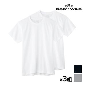 同色3組セット 計6枚 BODYWILD ボディワイルド クルーネックTシャツ 半袖丸首 2枚組 グンゼ GUNZE｜mote