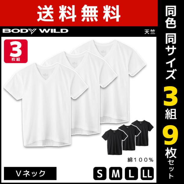 3組セット 計9枚 BODYWILD ボディワイルド VネックTシャツ 半袖V首 3枚組 グンゼ G...