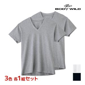 3色1組ずつ 3組セット 計6枚 BODYWILD ボディワイルド VネックTシャツ 半袖V首 2枚組 グンゼ GUNZE｜mote