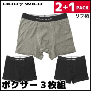 BODYWILD ボディワイルド 120周年限定商品 ボクサーブリーフ 3枚組 前とじ グンゼ ボクサーパンツ ボディーワイルド BODY WILD BWE4623