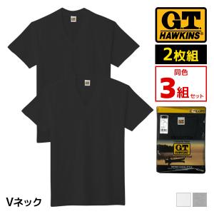 【送料無料3組セット(計6枚)】【G.T.HAWKINS(ホーキンス)】VネックTシャツ　２枚組【グンゼ(GUNZE)】