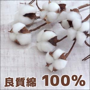 快適工房 ショーツ 綿100% 日本製 女性 ...の詳細画像2