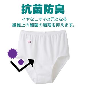 快適工房 ショーツ 綿100% 日本製 女性 ...の詳細画像3