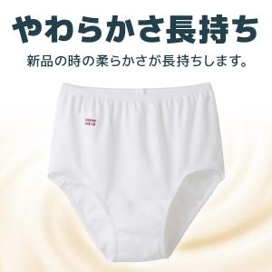 快適工房 ショーツ 綿100% 日本製 女性 ...の詳細画像4