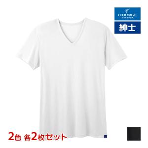 2色2枚ずつ 4枚セット COOLMAGIC クールマジック 吸汗天竺 VネックTシャツ 日本製 男性 グンゼ GUNZE｜mote