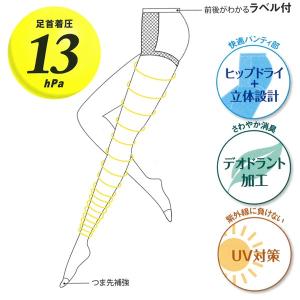 30%OFF 送料無料 Venus Leg 引...の詳細画像2