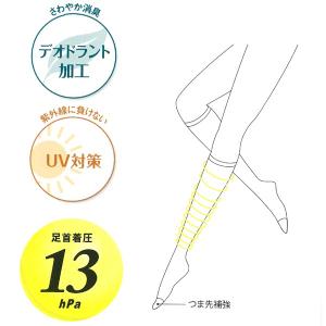 送料無料 Venus Leg 引きしめ美脚セパ...の詳細画像2