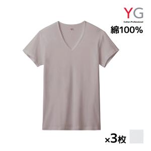 同色3枚セット YG ワイジー NEXTRA+ DRYDEO VネックTシャツ フライス 綿100% インナー グンゼ GUNZE