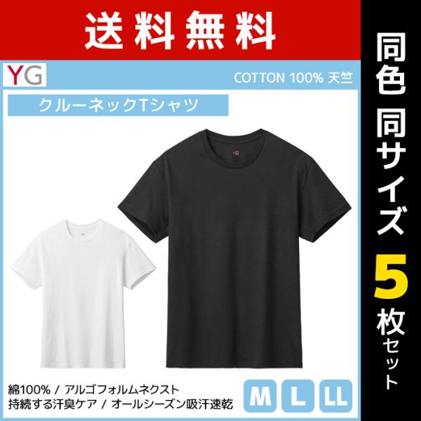 同色5枚セット YG ワイジー クルーネックTシャツ 綿100% インナー グンゼ GUNZE