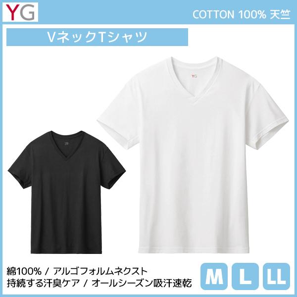 YG ワイジー VネックTシャツ 綿100% インナー グンゼ GUNZE