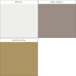 同色3枚セット YG ワイジー NEXTRA+...の詳細画像1