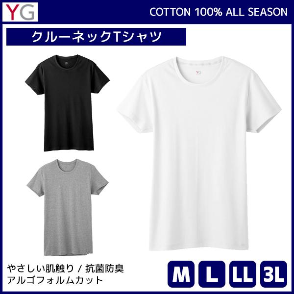 30%OFF YG ワイジー COTTON100% クルーネックTシャツ 半袖丸首 グンゼ GUNZ...