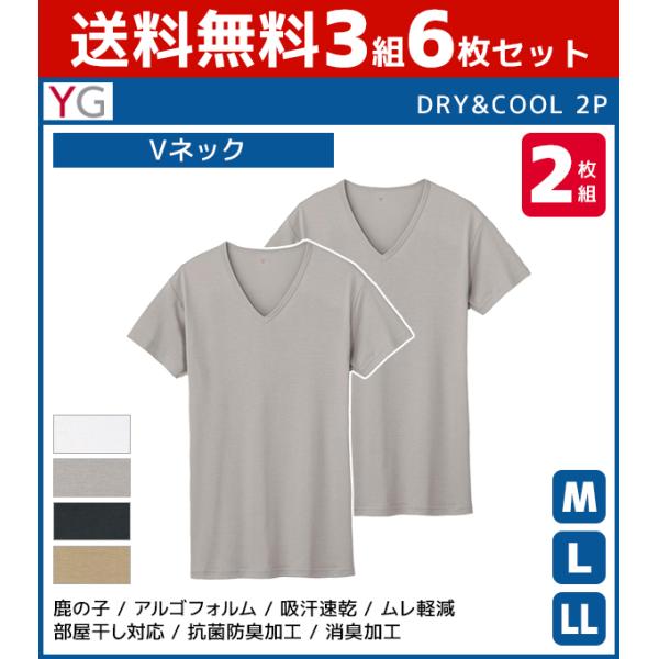 3組セット 計6枚 YG ワイジー DRY&amp;COOL VネックTシャツ 半袖V首 2枚組 グンゼ G...