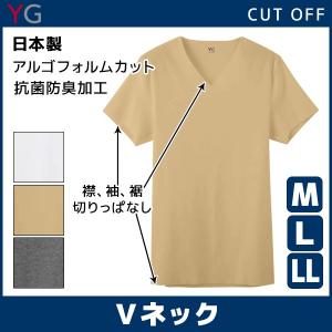 YG ワイジー CUT OFF VネックTシャツ 半袖V首 グンゼ GUNZE 日本製 YV1515｜mote