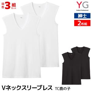 同色3組セット 計6枚 YG ワイジー Vネック...の商品画像