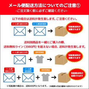 【2枚までメール便可】YG ワイジー Tシャツ...の詳細画像4